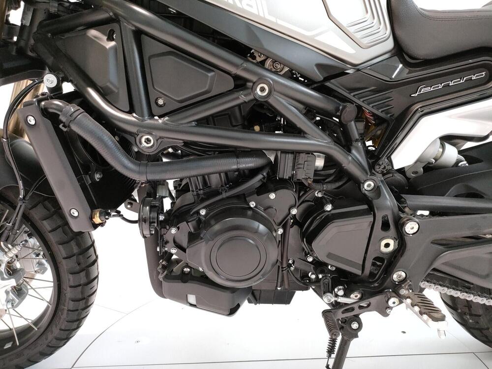 Benelli Leoncino 800 Trail (2022 - 26) (9)