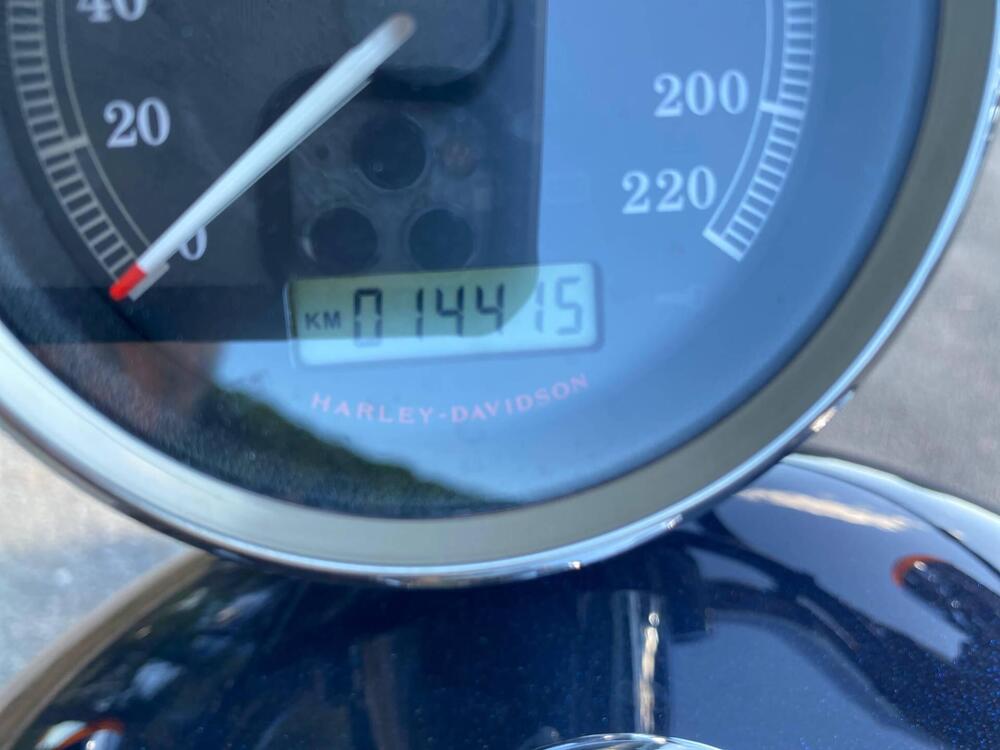 Harley-Davidson 1200 Custom ABS (2014 - 16) - XL 1200C (6)