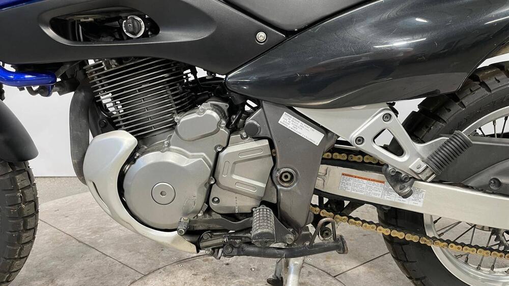 Suzuki XF 650 Freewind (1997 - 03) (4)