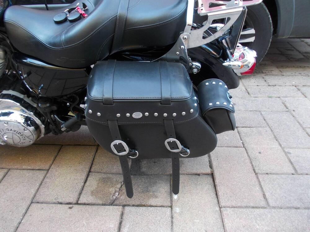 Harley-Davidson 883 (2006 - 07) - XL (4)