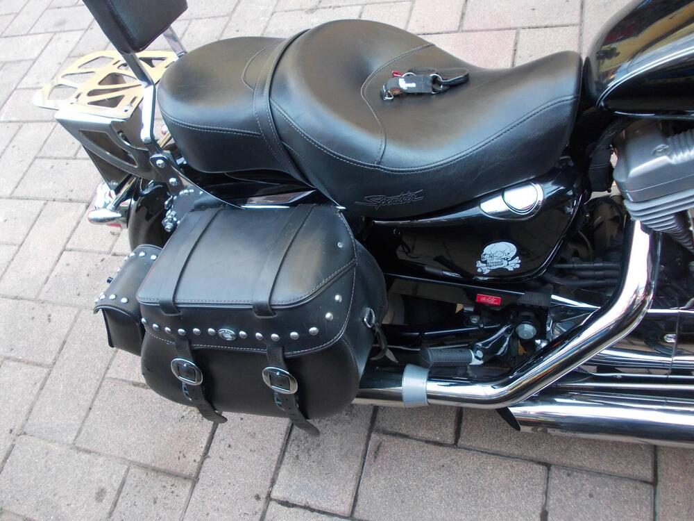 Harley-Davidson 883 (2006 - 07) - XL (6)