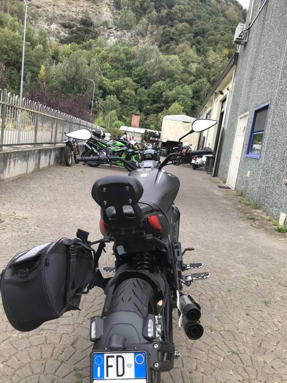 Benelli 502 C (2021 - 25) (2)