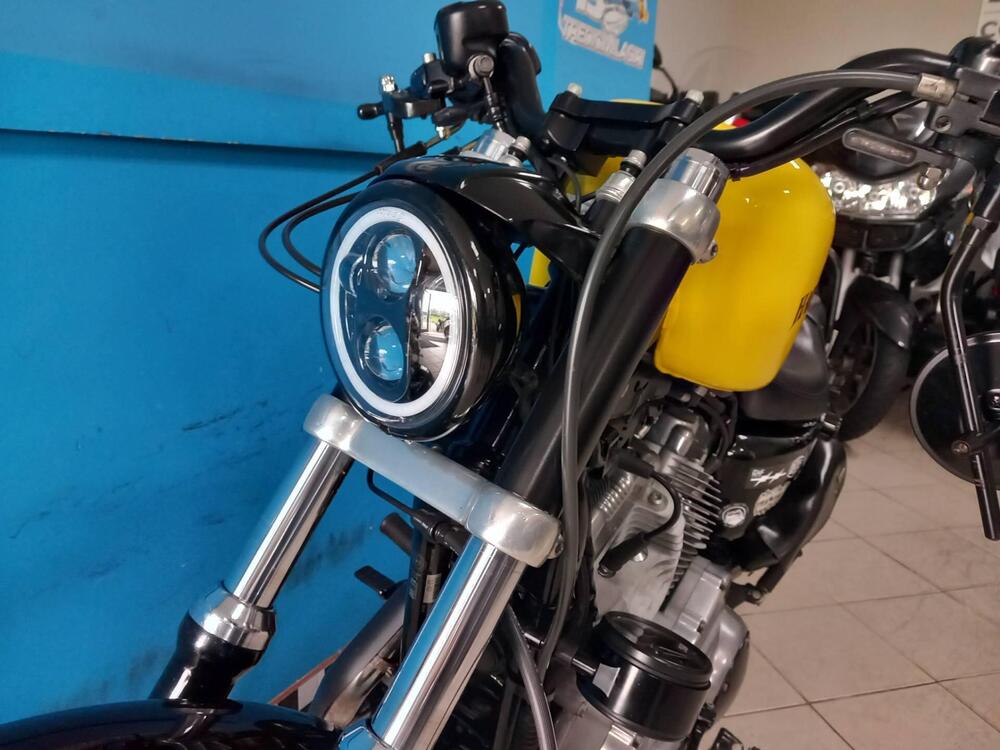 Harley-Davidson 883 (2008 - 09) - XL (8)