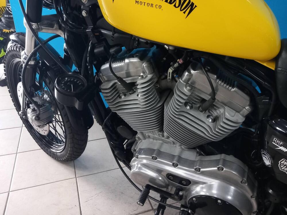 Harley-Davidson 883 (2008 - 09) - XL (9)