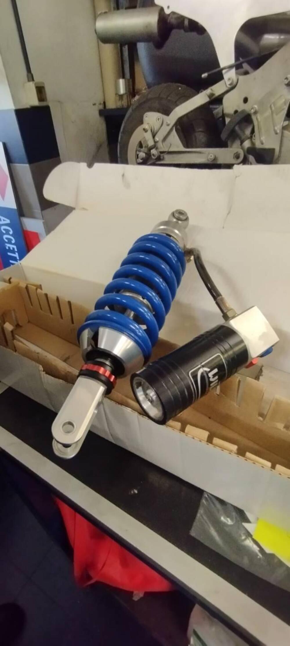 Rear shock absorber wilbers 4 reg Wilbers-Promoto (2)