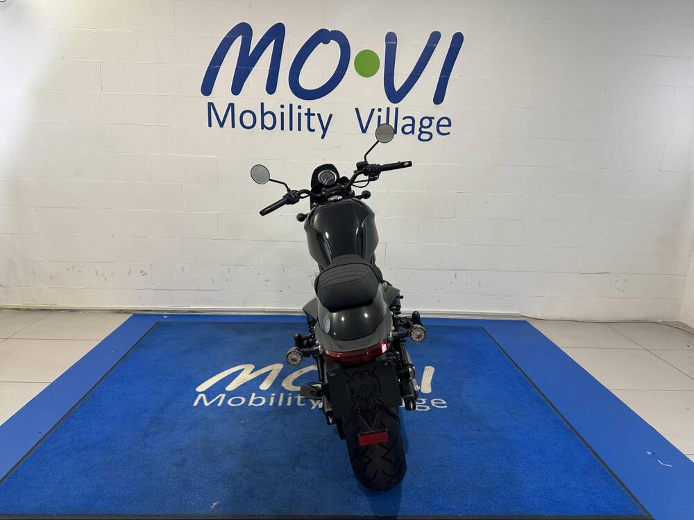 Moto Morini Calibro Custom (2024 - 25) (3)