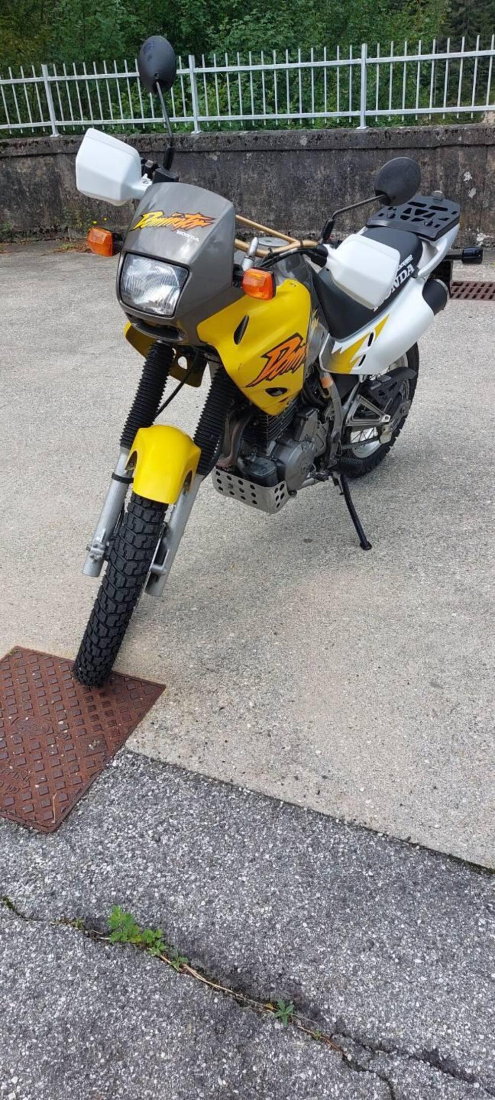 Honda NX 650 DOMINATOR (4)