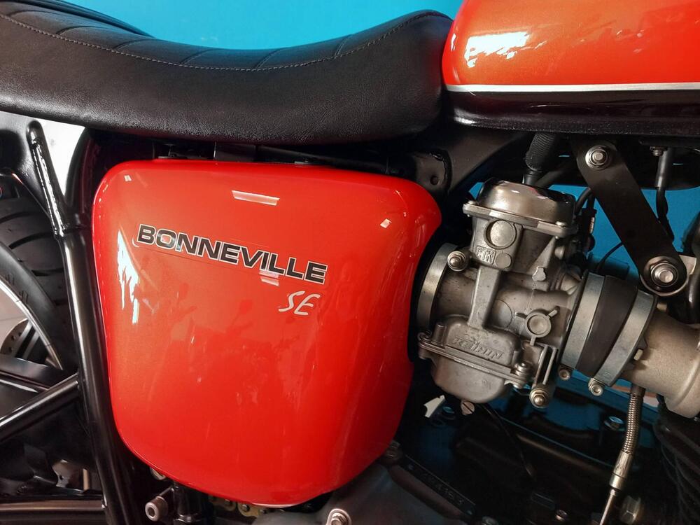 Triumph Bonneville SE (2009 - 13) (7)