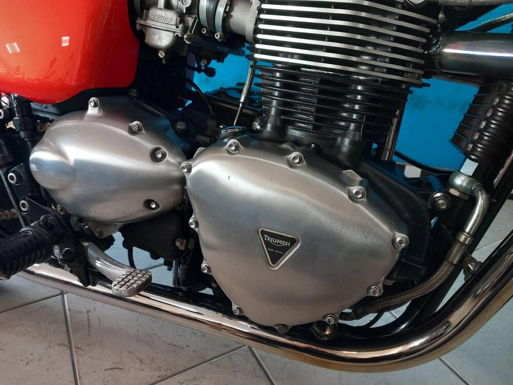 Triumph Bonneville SE (2009 - 13) (10)