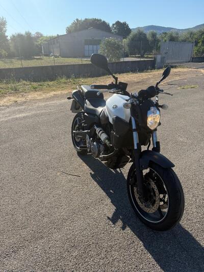 Yamaha MT-03 (2006 - 14) usata