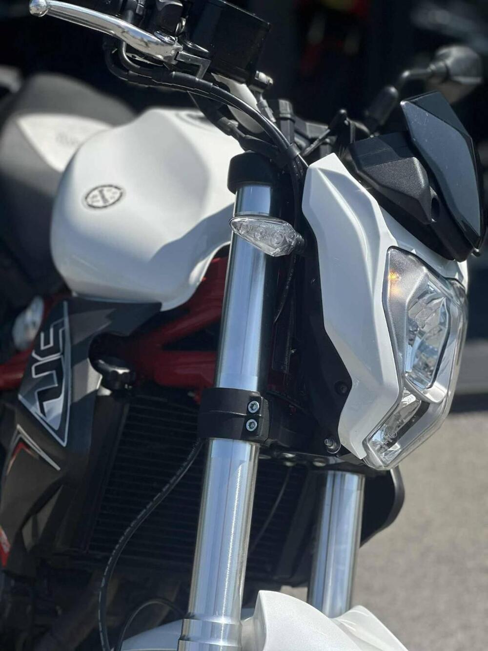 Benelli BN 302 (2017 - 19) (2)