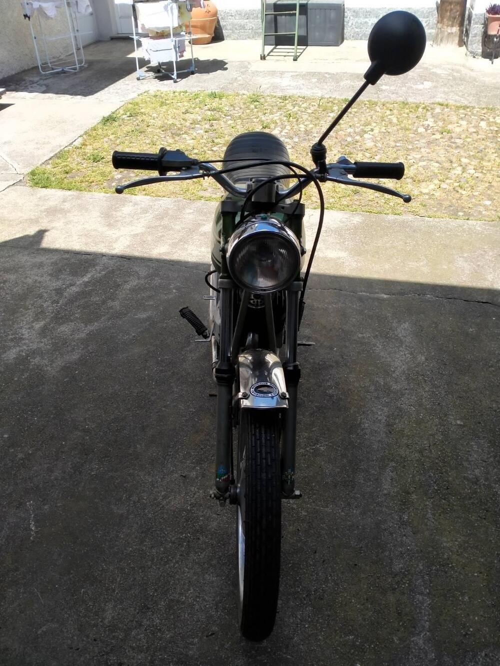 Benelli T50 TURISMO  (7)