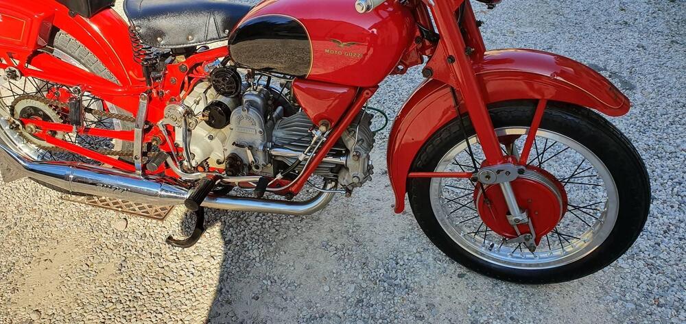 Moto Guzzi FALCONE SPORT (7)