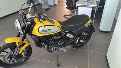 Ducati Scrambler 800 Icon (2021 - 22) usata