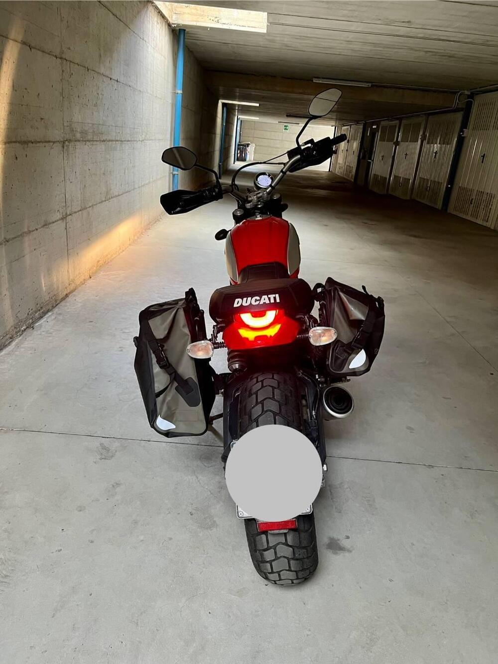 Ducati Scrambler 800 Icon (2015 - 16) (3)