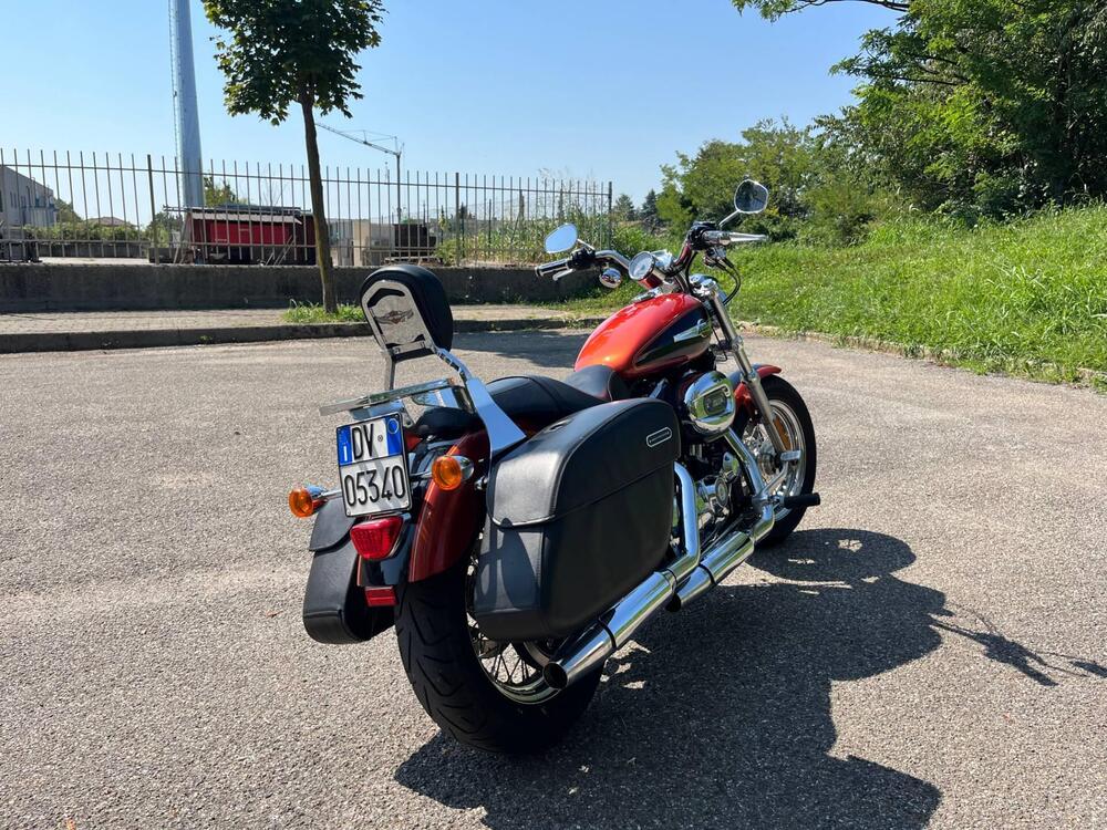 Harley-Davidson 1200 Custom (2007 - 13) - XL 1200C (2)