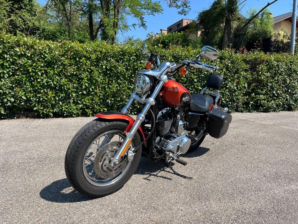 Harley-Davidson 1200 Custom (2007 - 13) - XL 1200C (12)