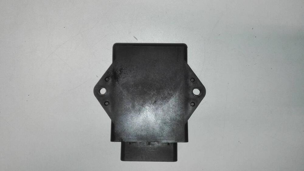 Centralina Yamaha Majesty 250 (3)