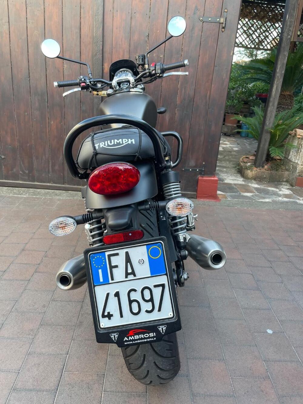 Triumph Speed Twin 900 (2023 - 24) (4)