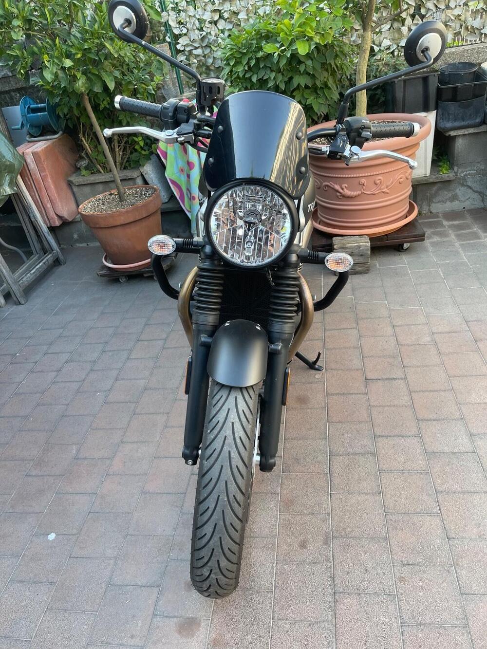 Triumph Speed Twin 900 (2023 - 24) (3)