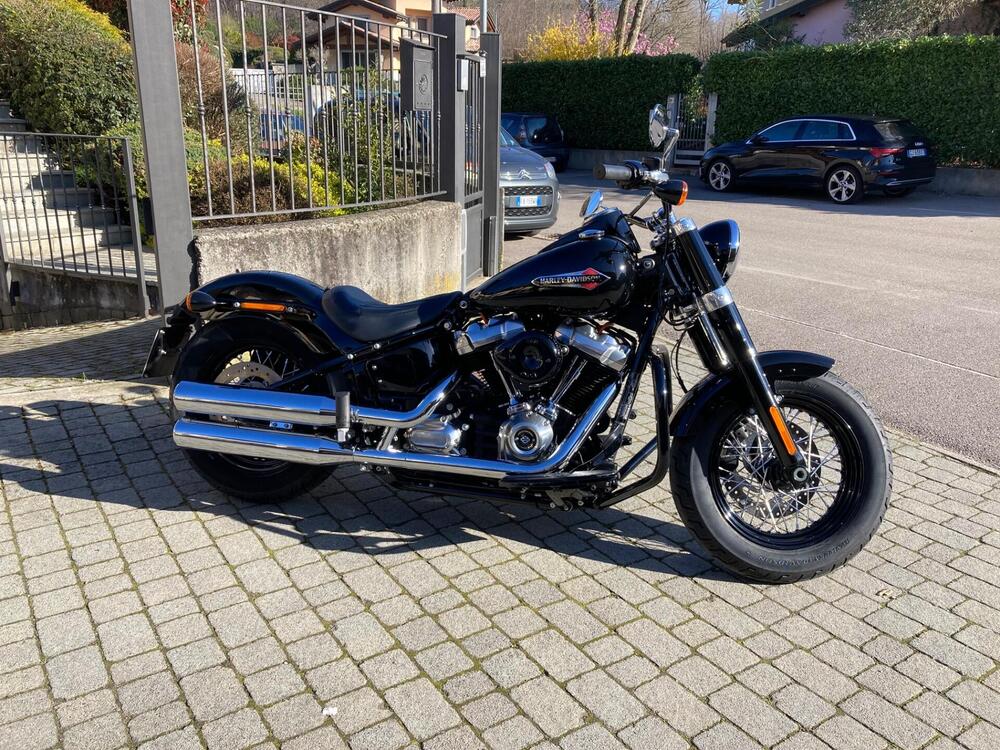Harley-Davidson 107 Slim (2018 - 20) - FLSL (3)