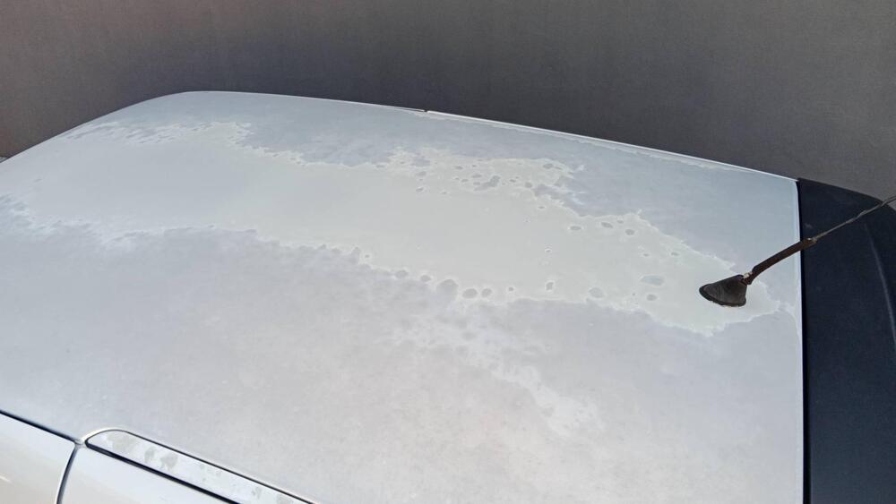 Renault Clio usata a Pordenone (6)