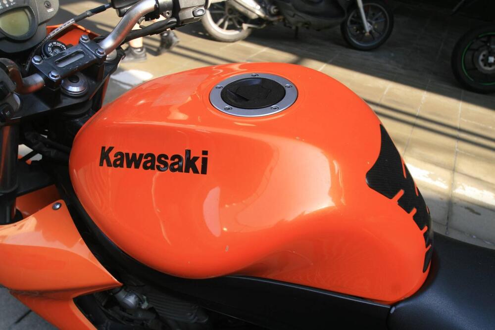 Kawasaki ER-6N (2005 - 08) (3)