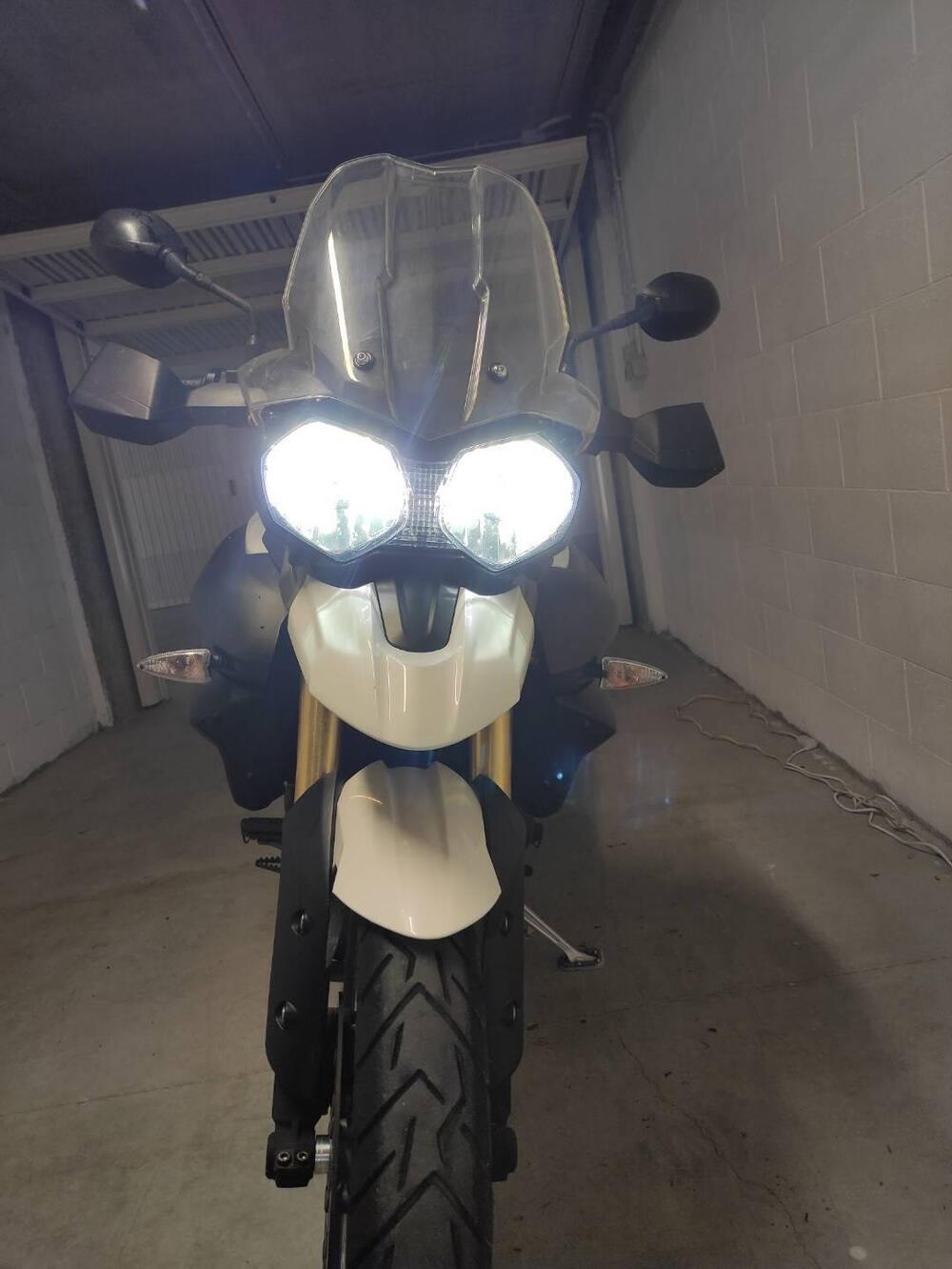 Triumph Tiger 800 ABS (2010 - 14) (7)