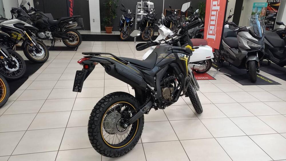 Voge Valico 300 Rally (2022 - 26) (2)