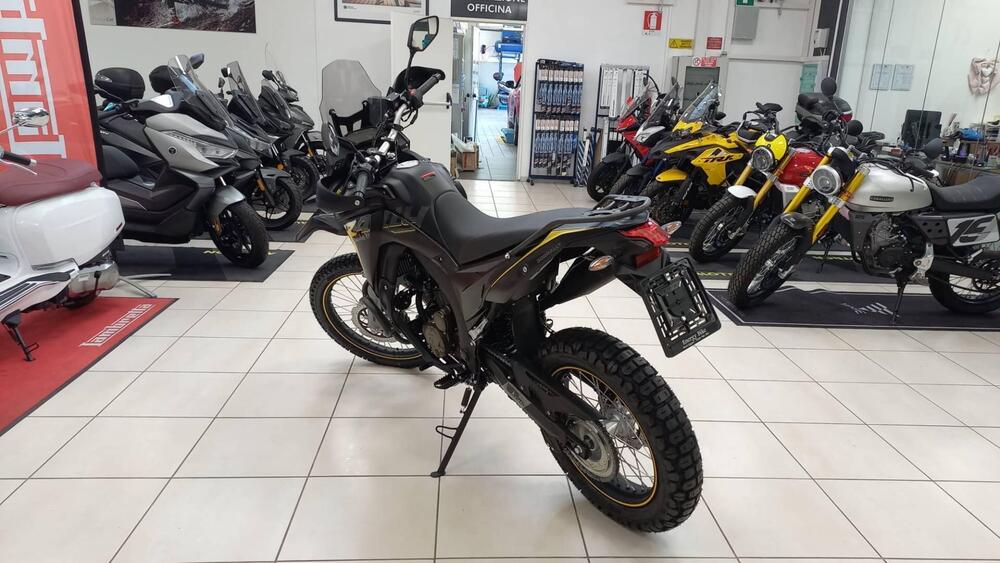 Voge Valico 300 Rally (2022 - 26) (3)