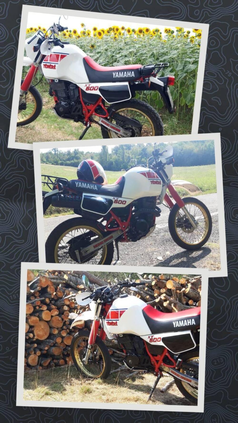 Yamaha Tenere 600 34l (6)