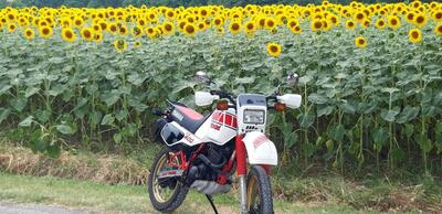 Yamaha Tenere 600 34l d&#039;epoca