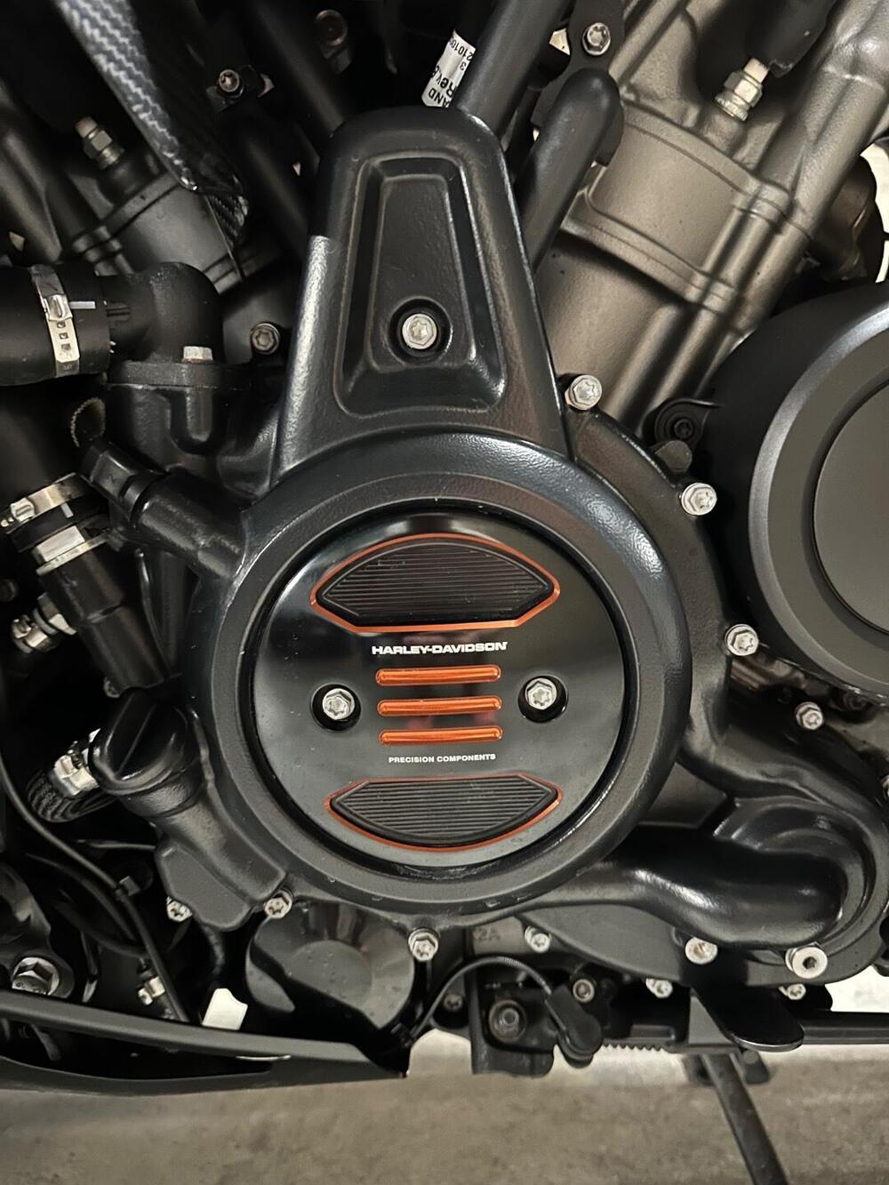 Harley-Davidson Pan America 1250 Special (2020 - 25) (5)