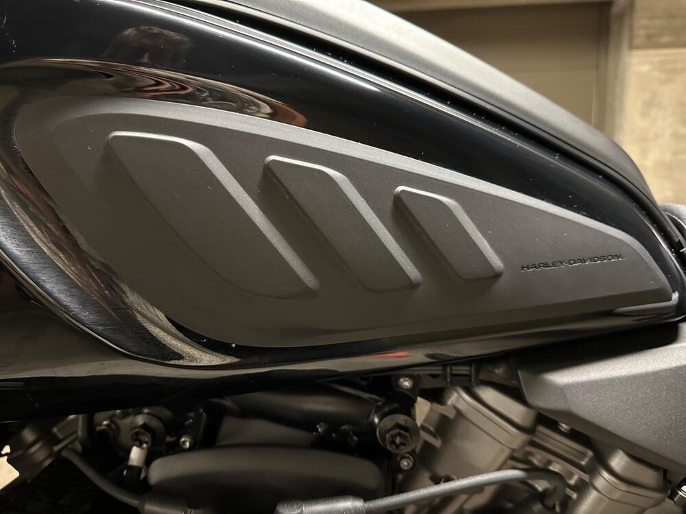 Harley-Davidson Pan America 1250 Special (2020 - 25) (12)