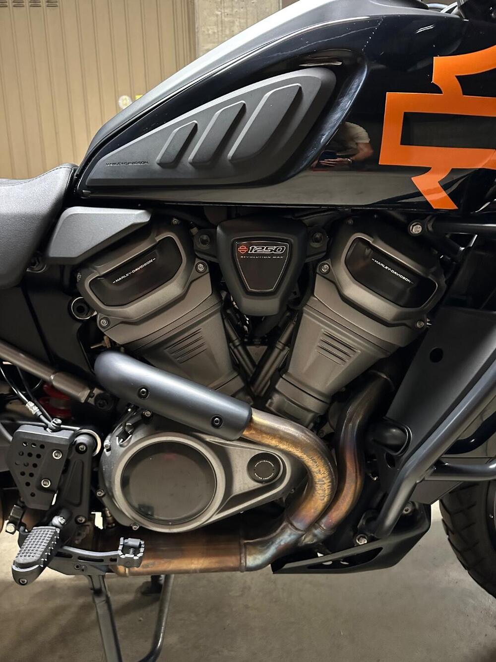 Harley-Davidson Pan America 1250 Special (2020 - 25) (6)