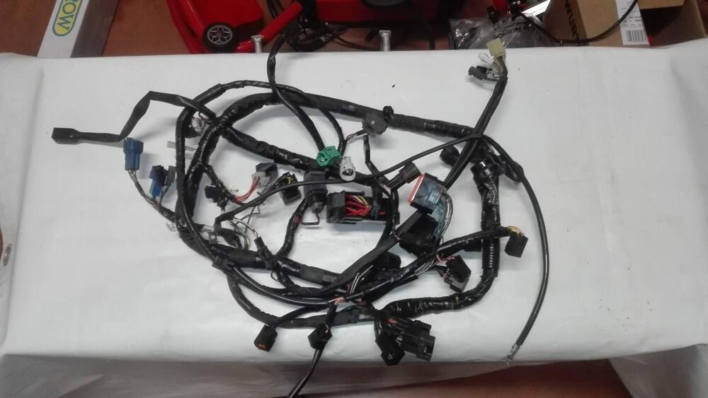 Impianto elettrico Suzuki Bandit 650 (2)