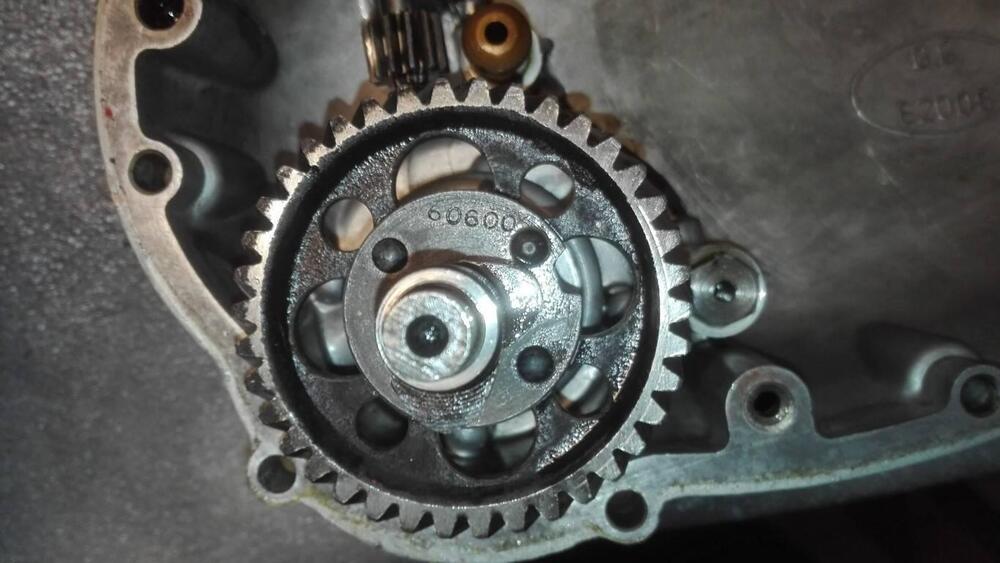 MOTORE GILERA REGOLARITA COMPETIZIONE (5)