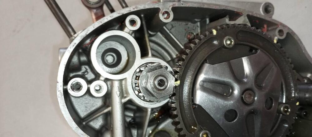 MOTORE SACHS 50 CORSA CORTA (8)