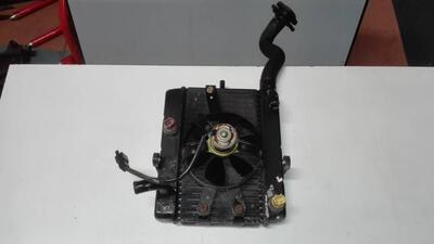 Radiatore Yamaha Majesty 250