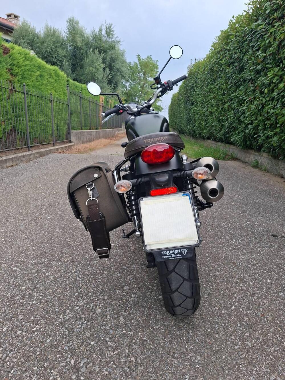 Triumph Street Scrambler 900 (2017 - 18) (6)