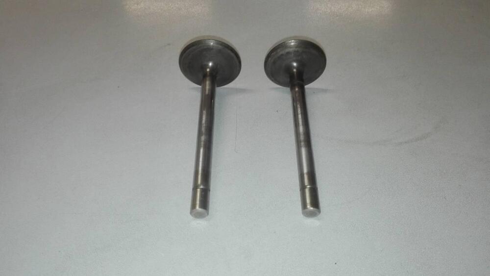 VALVOLE SCARICO DUCATI MONSTER 900 (3)