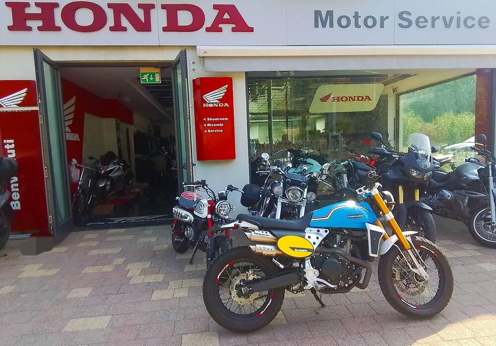 Fantic Motor Caballero 500 Flat Track (2018 - 21) (16)