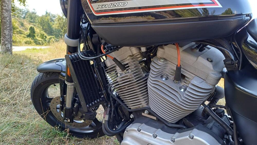 Harley-Davidson 1200 XR (2009 - 12) (7)