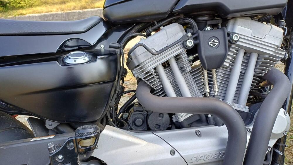 Harley-Davidson 1200 XR (2009 - 12) (9)