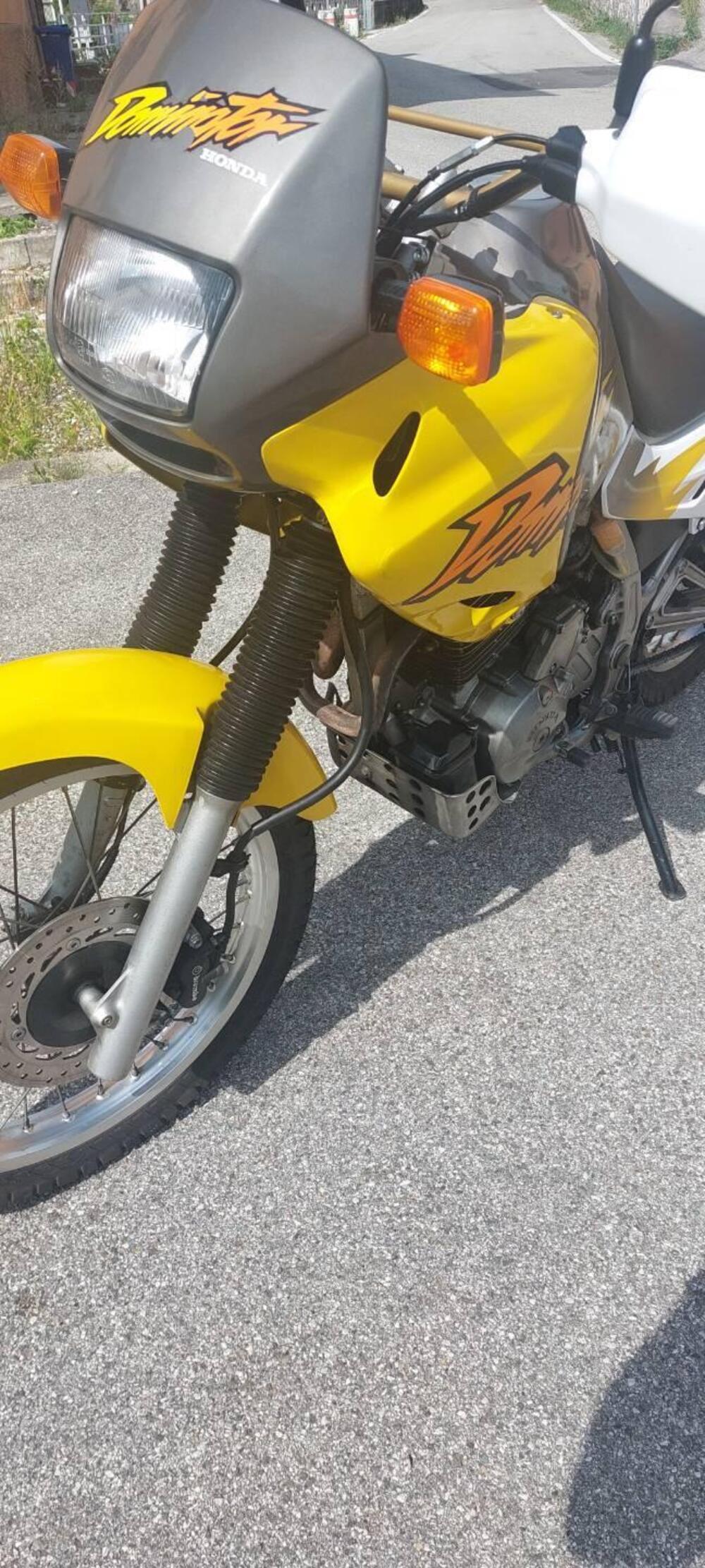 Honda NX 650 DOMINATOR (8)