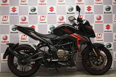 Voge Brivido 300R (2021 - 24) usata