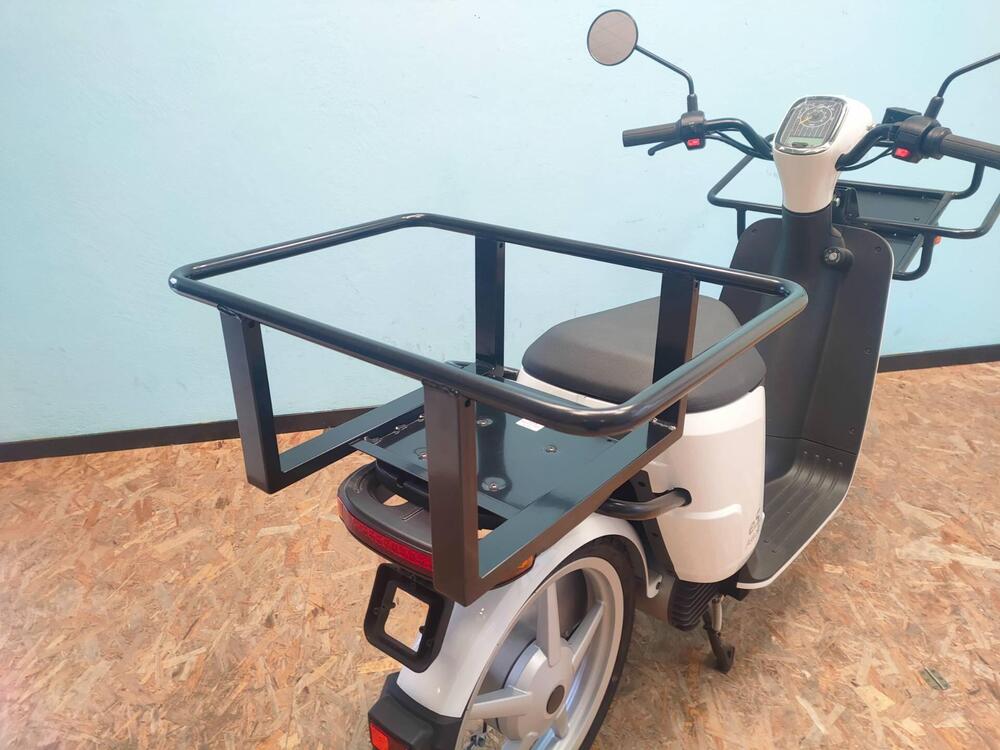 Askoll eS Pro 45 (2019 - 22) (8)