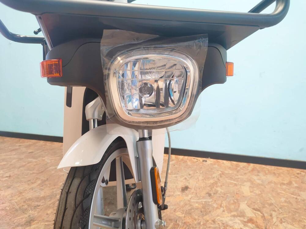 Askoll eS Pro 45 (2019 - 22) (15)