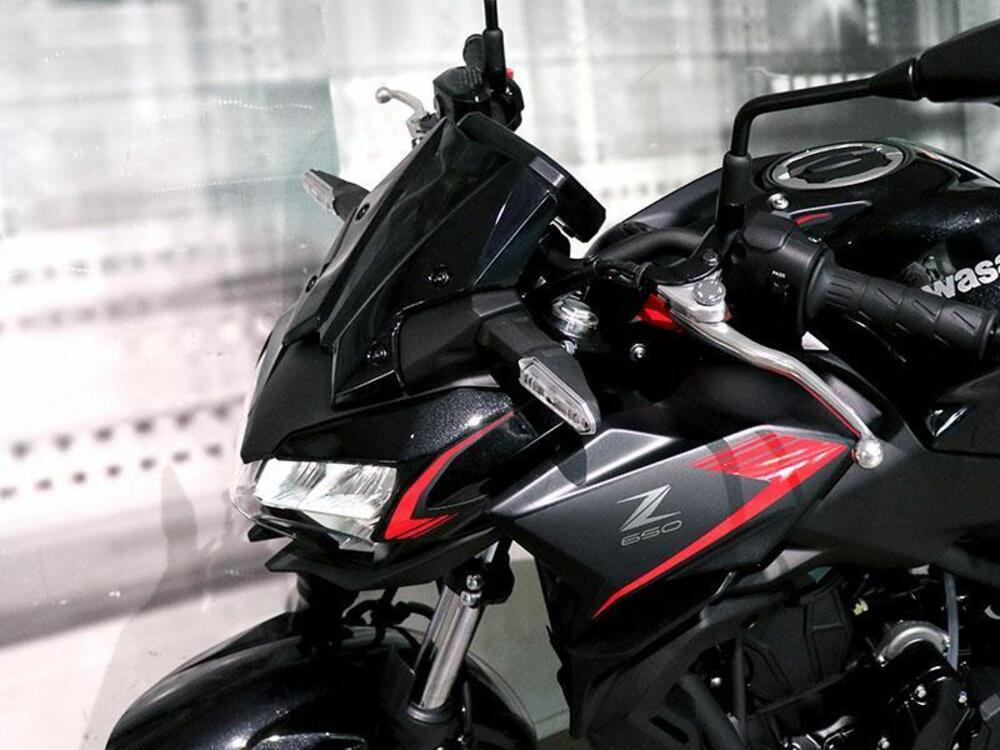 Kawasaki Z 650 (2021 - 24) (8)