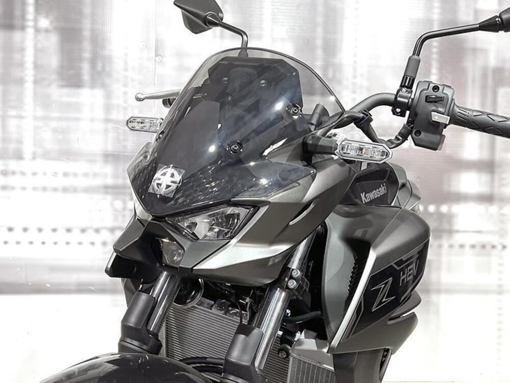 Kawasaki Z7 Hybrid (2024 - 25) (9)